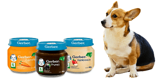 Los perros pueden comer Gerber?